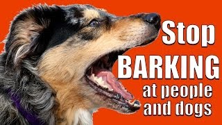 How to TEACH ANY DOG NOT to BARK at Other DOGS and PEOPLE on a Walk [upl. by Nickles]