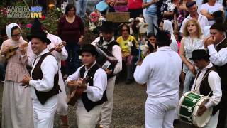 Bailinho Da Madeira  Max with lyricswmv [upl. by Cecile]