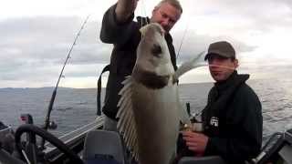 South Coast Wellington  Winter Fishing in the F14 [upl. by Emerick151]