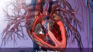 Cardiac Output and How to Calculate It  Visible Body [upl. by Kariotta]