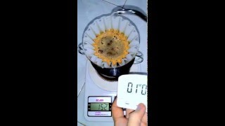 Manual Brew  Kalita Wave 185  Tentang Kopi [upl. by Aubrette]