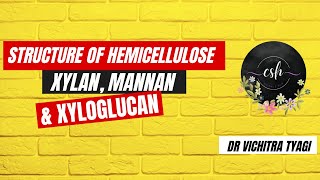 STRUCTURE OF HEMICELLULOSE XYLAN MANNAN amp XYLOGLUCAN [upl. by Weixel]