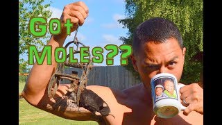 How To Trap A Mole  GUARANTEED To Work [upl. by Durno]