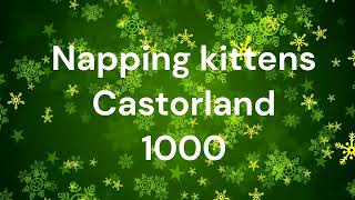 Puzzle Time Lapse Napping kittens Castorland 1000 [upl. by Atinna362]