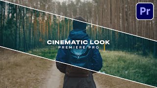 Cinematic Look Premiere Pro  Color Grading Tutorial [upl. by Nref]