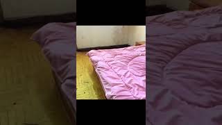 Satisfying cleaning cleanwithme cleaningvlog speedcleaning [upl. by Ainesey508]