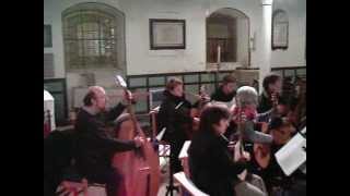 Carnevale di Venezia played by The Fretful Federation Mandolin Orchestra [upl. by Dray]