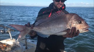 Westernport Snapper fishing October 2020 [upl. by Japheth]