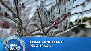 Quatro capitais registram dia mais frio do ano nesta terça 13  Jornal da Band [upl. by Bibby435]