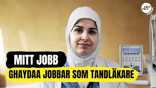 Jobba som tandläkare  quotJag gillar att jobba med människorquot  Från SFI till arbete [upl. by Intruoc232]