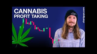 Cannabis Stocks See Profit Taking [upl. by Riesman]