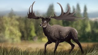 Megaloceros  The Grand Deer [upl. by Reddin]