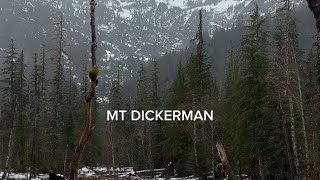 Mount Dickerman 4500 ft [upl. by Aicelf72]