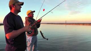 Speckled Trout Under Birds at Lafittes Clovelly Canal [upl. by Zirkle]