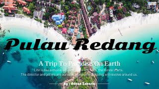 Pulau Redang 4D3N Full Story Trip Kg Redang  Long Beach  Snorkeling With NemoTurtleampSharks [upl. by Lafleur110]