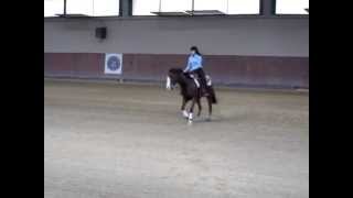 Gara di REINING  Gaia Santini amp CHARMING ICE [upl. by Esma506]