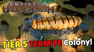 LIVE  Can my TERMITES Beat 53 on IMPOSSIBLE RELEASE DAY  Empires of the Undergrowth 10 Gameplay [upl. by Takeshi]