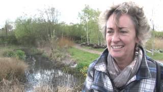 WWT London Wetland Centre Interviews [upl. by Neelhtakyram340]