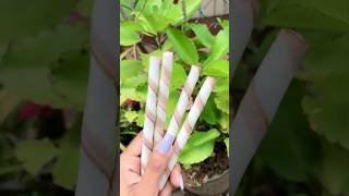 Choco Stix වලින් කාපු රසම එක කෝකද 🫠🍫  youtubeshorts  viralvideo  trending  asmr [upl. by Grenville]