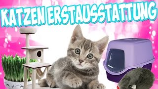 KatzenErstausstattung  Die richtige Erstausstattung für die Katze bzw Kitten [upl. by North]