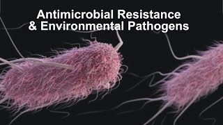 Anti  microbial agents  CLASSIFICATION [upl. by Pride]