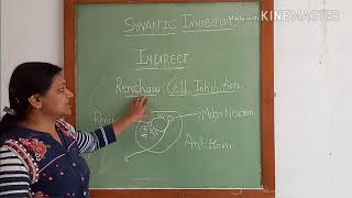 Physiology of synaptic inhibition [upl. by Joao320]