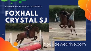 Foxhall Crystal a pony mare born in 2017 147cm perfect for showjumping eventing youridewedrive [upl. by Assila]