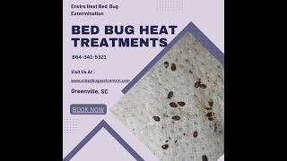 Bites and you arent sure if they are bed bug bites Greenville SC bedbugservice [upl. by Oni440]