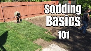 How NOT to lay Sod [upl. by Hutchins]