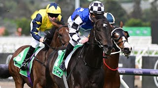 Caulfield Cup Day 2023 Horse Racing Tips  Around The Country [upl. by Atiuqel]