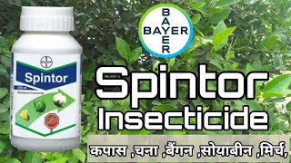 Spintor Insecticide  Bayer  Spinosad 45Sc [upl. by Hunter]