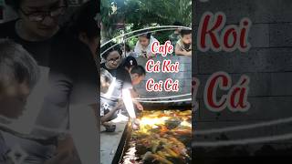 Cafe Cá Koi tại TP Quy Nhơn – Thư giãn cùng đồng nghiệp navi Navi 🎏☕ [upl. by Franklin]