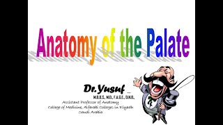 Anatomy of the PALATE  Hard Palate  Soft Palate  Dr Yusuf [upl. by Caro]