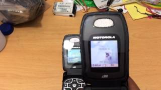 Radios Nextel i560 MotoTalk DirecTalk walkietalkie [upl. by Rich]