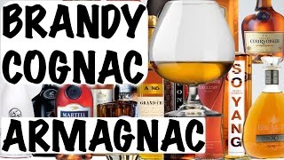 Cognac Brandy and Armagnac  Alcohol 101 [upl. by Rab98]