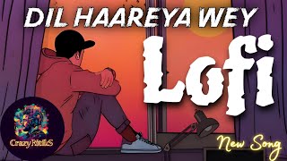 DIL HAAREYA Song lyrics  Lofi  Vision  Arijit Singh Tonyk Maniktala CrazyRitikS [upl. by Katushka]