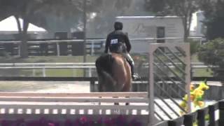 Video of Panda Bay ridden by Bob Braswell from ShowNet [upl. by Ajiak]