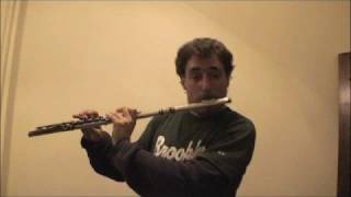 JSBachBeatbox FluteGreg Pattillo [upl. by Leunamne236]