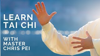 Tai Chi for Beginners  Best Instructional Video for Learning Tai Chi [upl. by Jorge]