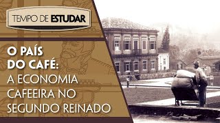 A história do bonde de São Paulo [upl. by Assilanna]