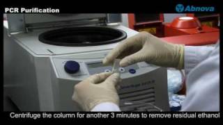 PCR Purification [upl. by Eimmac]