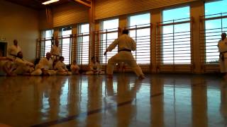 Treningssamling med Sensei Velibor Dimitrijevic 7 Dan [upl. by Sparke]