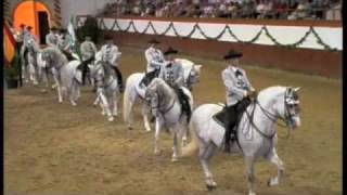 Royal Andalucian School of Equestrian Art [upl. by Kellsie]