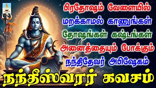 நந்திதேவர் கவசம் பிரதோஷம் வேளையில் கேளுங்கள் தோஷங்கள் கஷ்டங்கள் அனைத்தும் நீங்கும்  Apoorva Videos [upl. by Nabal383]