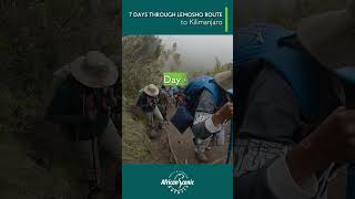 7 days itineraries to Lemosho Route kilimanjaro hikingadventures kilimanjarosafari [upl. by Acinnad]