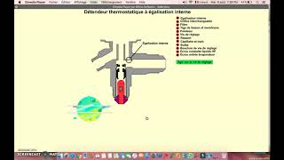 LE DETENDEUR THERMOSTATIQUE بالدارجة [upl. by Tnelc]