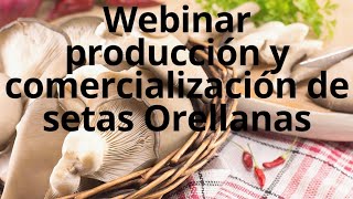 Webinar Setas Orellanas Producción Y Comercialización [upl. by Giacomo879]