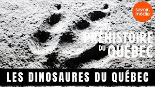 Les dinosaures du Québec  La préhistoire du Québec [upl. by Ellerrehs]