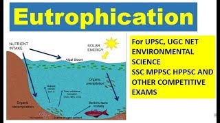 EUTROPHICATION And UGC NET ENVIRONMENTAL SCIENCE AND UPSC CIVIL SERVICES [upl. by Caras832]