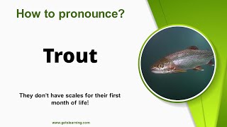 How to pronounce Trout in English correctly [upl. by Airret]